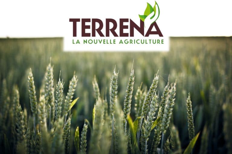 Programme de bien-être Terrena avec SoccerFit